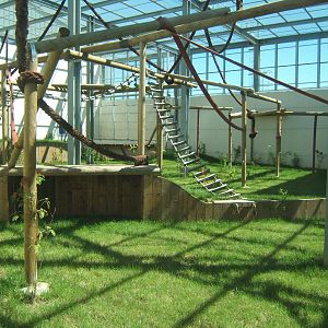 View of outdoor chimp enclosure