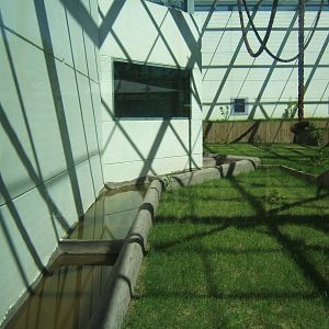 View of outdoor chimp enclosure