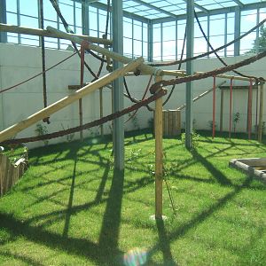 View of outdoor chimp enclosure