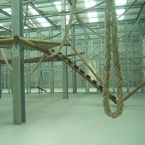 View of indoor chimp enclosure