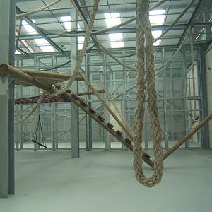 View of indoor chimp enclosure