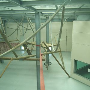 View of indoor chimp enclosure