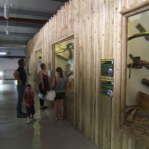 View of upper area of the Chimp House