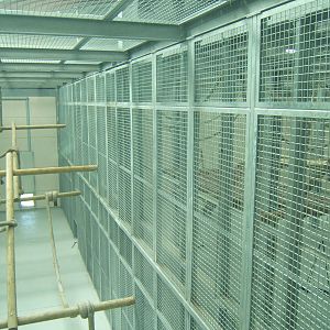 View of indoor chimp enclosure