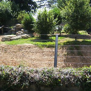 Construction work on old Lynx enclosure