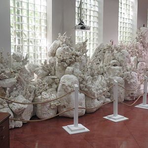 Amazonia science gallery - Washed Ashore: Art to Save the Sea - Bleached co