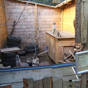 Hemsley Conservation Centre