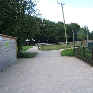 View towards new extension