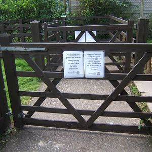 gates so visitor can pass through the Sulcatta enclosure