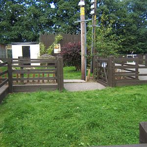 View of Sulcatta enclosure