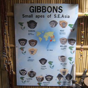 An old friend returns