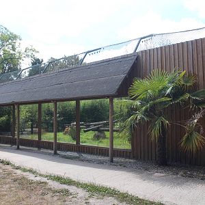 Sri Lankan leopard enclosure, July 2016