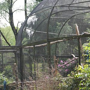 Macaw aviary