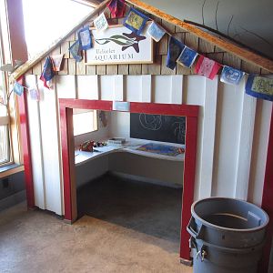 Ucluelet Aquarium - Kiddie Shed