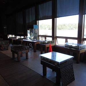 Ucluelet Aquarium - Touch Tanks