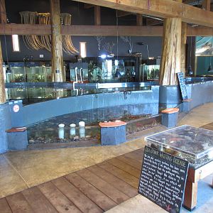 Ucluelet Aquarium - One Large Room