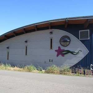 Ucluelet Aquarium (new building opened in 2012)