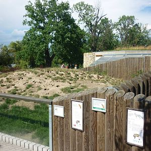 Souslik enclosure, July 2016