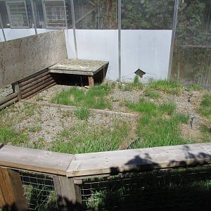Butterfly World - African Spurred Tortoise Outdoor Exhibit
