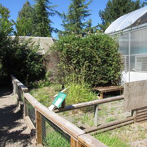 Butterfly World - African Spurred Tortoise Outdoor Exhibit