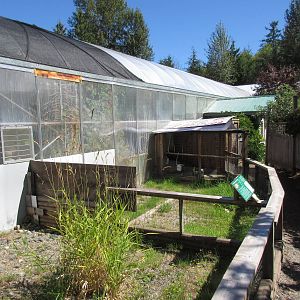 Butterfly World - African Spurred Tortoise Outdoor Exhibit
