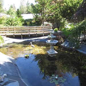 Butterfly World - Outdoor Garden