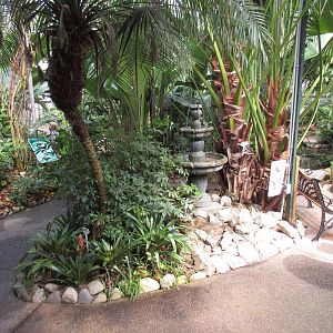 Butterfly World - Indoor Jungle