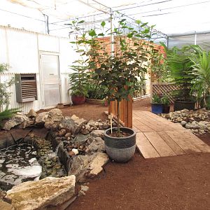 Butterfly World - Orchid Garden