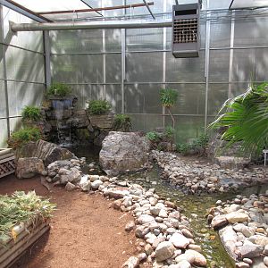 Butterfly World - Orchid Garden Pool