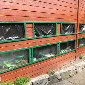 Butterfly World - Empty Terrariums