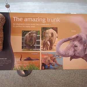 Elephant Lands (New in Dec. 2015) - $60 Million Project