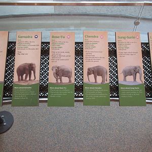 Elephant Lands (New in Dec. 2015) - $60 Million Project