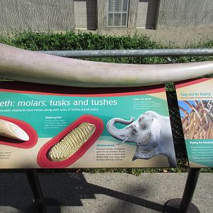 Elephant Lands (New in Dec. 2015) - $60 Million Project