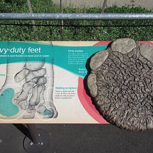 Elephant Lands (New in Dec. 2015) - $60 Million Project