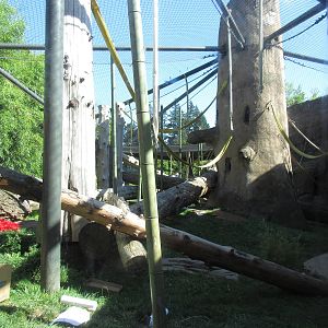 Orangutan/White-Cheeked Gibbon Exhibit