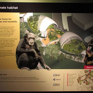 Future Primate Habitats (New in 2020)