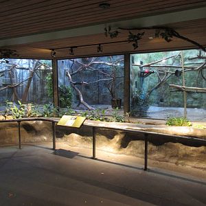 Cotton-Top Tamarin Exhibit (all 3 enclosures are connected)