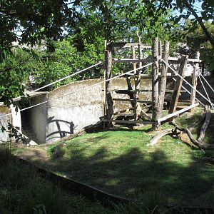 Chimpanzee Exhibit (side view)