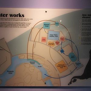 Penguinarium - New Sign (in late 2011)