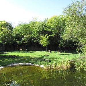 Bontebok/Speke's Gazelle Exhibit (old zebra yard)