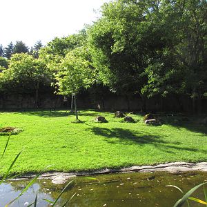 Bontebok/Speke's Gazelle Exhibit (old zebra yard)