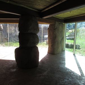 Predators of the Serengeti - Lion Exhibit