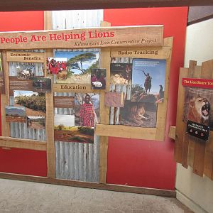 Predators of the Serengeti