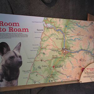 Predators of the Serengeti