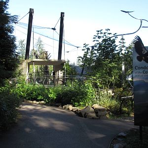 Condors of the Columbia (New in 2014)
