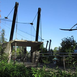 Condors of the Columbia (New in 2014)