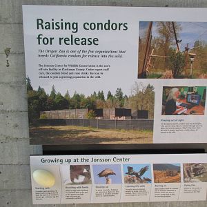 Condors of the Columbia (New in 2014)
