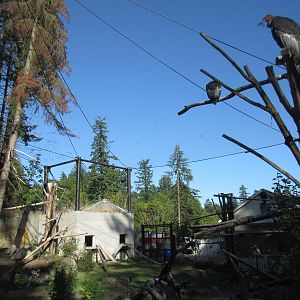 Condors of the Columbia (New in 2014)