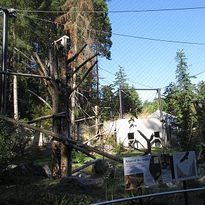 Condors of the Columbia (New in 2014)
