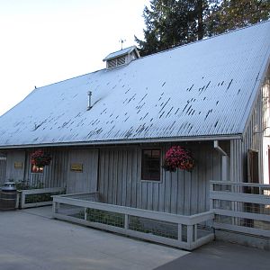 Barn (domestic animal area)